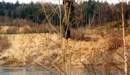 1995-22