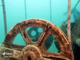 1IMG_1596