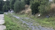 IMG_4619