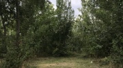 zIMG_4657-1