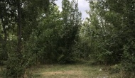 zIMG_4657-1