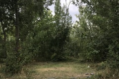 zIMG_4657-1