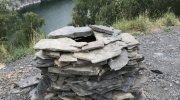 zIMG_4657-5