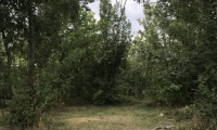 zIMG_4657-1