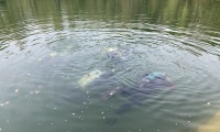 IMG-4506