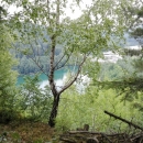 MN (14)