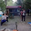zMN (13)