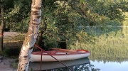 IMG_20240706_055248780