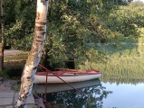 IMG_20240706_055248780