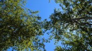 PXL_20240706_110737366.MP_