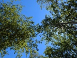 PXL_20240706_110737366.MP_