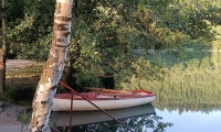 IMG_20240706_055248780