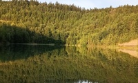 IMG_20240706_055448036