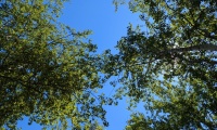 PXL_20240706_110737366.MP_