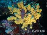 20180910_134351