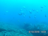 20180910_140322