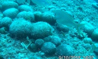20180910_140254
