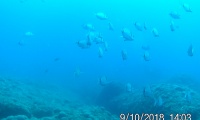 20180910_140322