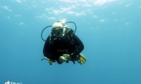 6532F99D-D5C0-42F0-AAE3-66630BDF68BB