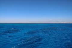 IMG_20231015_113110