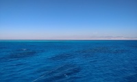 IMG_20231015_113110