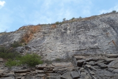 20190413_113724