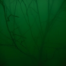 DSCN6404